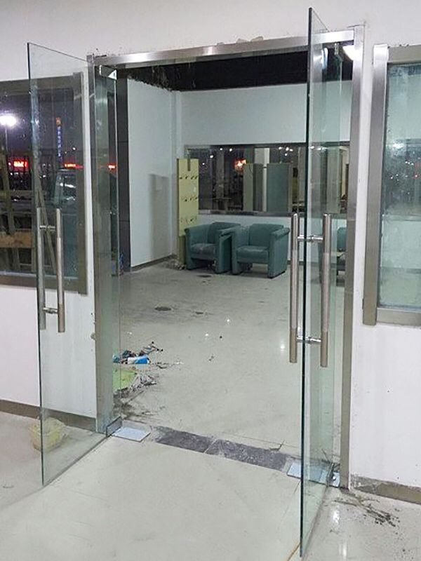 Frameless Swing Door — view 2